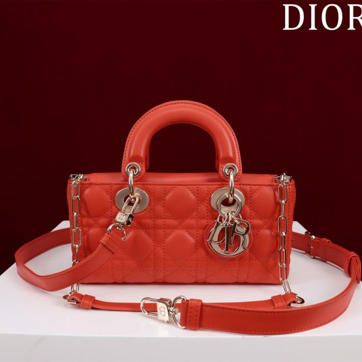 chr1st1an D10r my lady bags